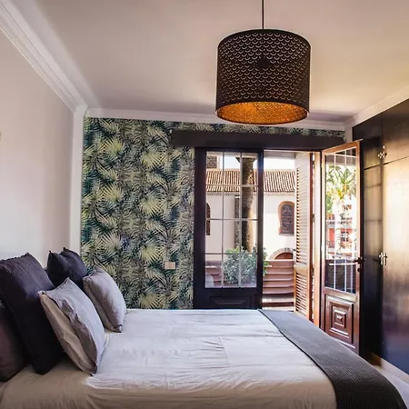 Apartament Canary Treasure Exclusiveness Prime Location La Laguna (Tenerife)