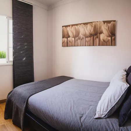 Canary Treasure Exclusiveness Prime Location La Laguna (Tenerife)